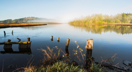 Foggy estuary with old pier posts, grass, forest, mist and blue sky