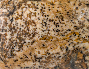 Stone texture background. Polished picture jasper stone close-up.