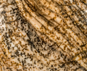 Stone texture background. Polished picture jasper stone macro.