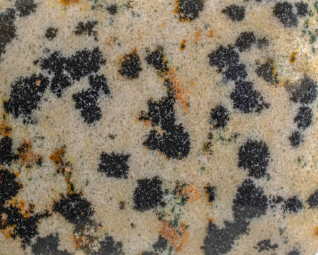 Stone texture background. Polished dalmatian jasper stone macro.