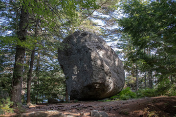 Giant granite rock leaning in the middle of a forest