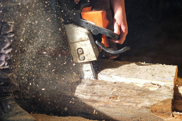 the worker saws off a log with a chainsaw