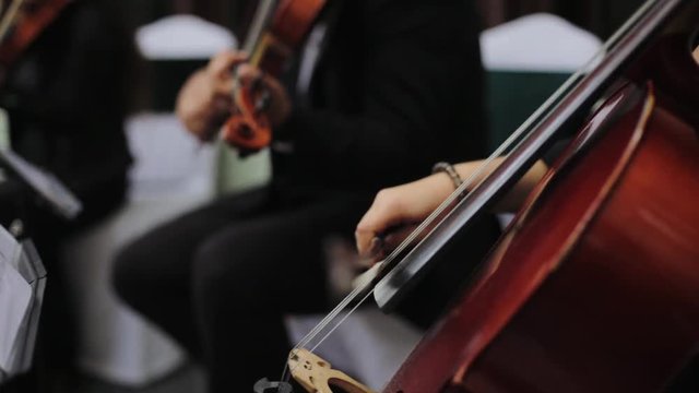 Violint play music, hand close up Violin under the open sky. Wedding music concept.