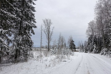 the gloomy, cloudy winter day before snowing; the forest path and forest on both sides of the road are covered with snow; beautiful winter day view with empty road and snow-covered forest