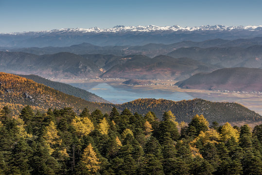 Shika Bilder Durchsuchen 967 Archivfotos, und Videos