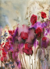 Beautiful watercolor paintings that bring flowers to wages, poppies