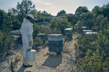 Beekeeper working on his hives. Beekeeping.