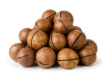 Bunch of macadamia nuts on a white background. Isolated