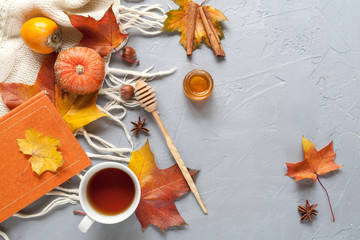 Obraz na płótnie Canvas Autumn background with leafs