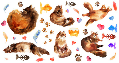 Watercolor hand drawn element set of fluffy cat in different poses: lazy, lying, dreaming, sleeping. and cute watercolor elements.