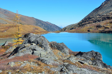 Горный Алтай, озеро Акчан осенью
