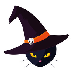 halloween black cat with witch hat
