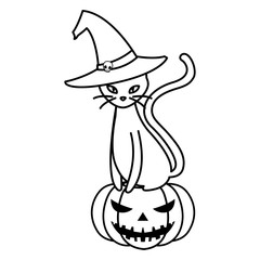 halloween black cat with pumpkin character