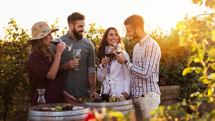 Fröhliche Freunde, die Spaß beim Weintrinken im Weingut Weinberg haben - Freundschaftskonzept mit jungen Leuten, die gemeinsam Erntezeit genießen