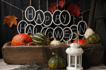 Autumn still life with pumpkins and text 
