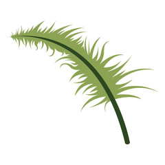 Colorful tropical leaf icon. Vector illustration design