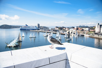 big gull on the roof of the opera house in the donkey against the backdrop of the sea and ships