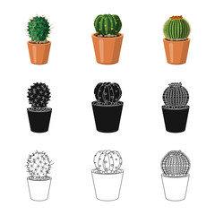 Vector design of cactus and pot sign. Collection of cactus and cacti stock symbol for web.