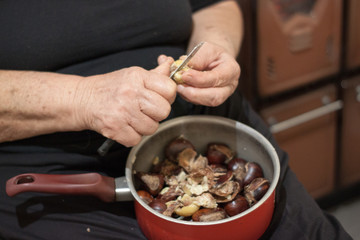 Obraz na płótnie Canvas Hands of an elder woman holding a pot with chestnuts and peeling them