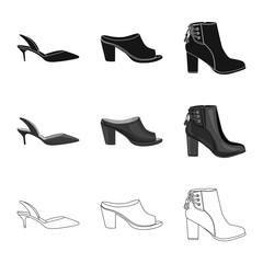 Vector illustration of footwear and woman sign. Collection of footwear and foot stock symbol for web.