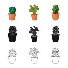 Isolated object of cactus and pot sign. Collection of cactus and cacti vector icon for stock.