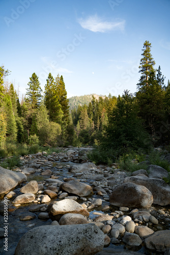 Trees And River In Wawona Yosemite Swinging Bridge Hike
