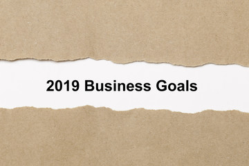 Fototapeta na wymiar 2019 business Goals text on paper. Word 2019 business Goals on torn paper. Concept Image.