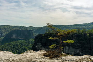 Elbsandsteingebirge, Sächsische Schweiz, typische Berglandschaft