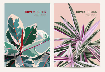 Print design concept in vintage style. Leaves of ficus and tradescantia. Vector template