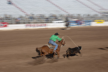 Calf roping