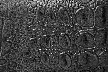 Crocodile leather texture background