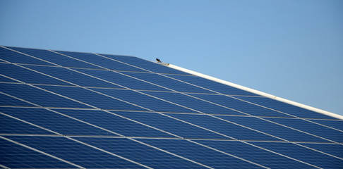 Solarzellen