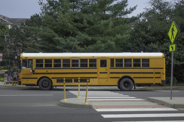 Fototapeta na wymiar American Yellow school bus parked up in a side street next to crosswalks.