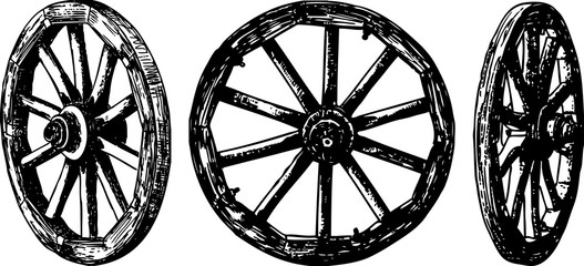 Vector image of old wooden wheels © avelksndr