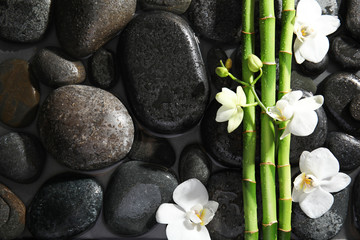 Fototapeta premium Bamboo branches, flowers and spa stones in water, top view. Space for text