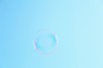 Beautiful translucent soap bubble outdoors on sunny day. Space for text