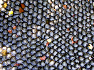 Abstract pebble background