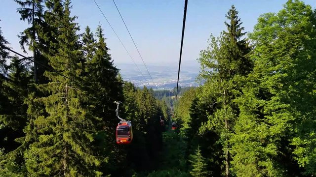 Cable Cars also known as gondola forming a staright line in the forest transport to the peak