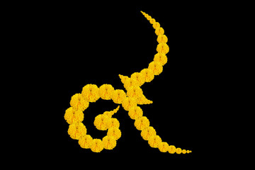 Creative Number Nine Design From the marigold yellow isolated from the black background, King Rama IX,