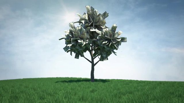 Money tree animation transforming from dark ominous sky, to bright sunny day.