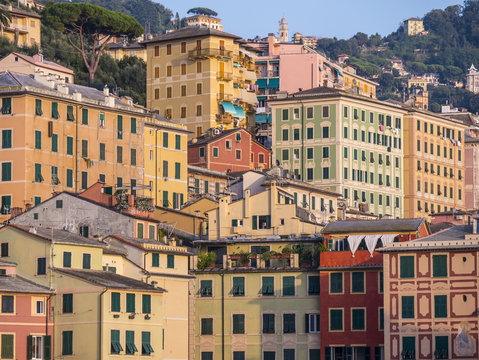 Fototapeta City of Camogli - Typical architecture of the buildings in Liguria - Italy