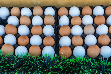 Brown and white eggs in Market © nedomacki