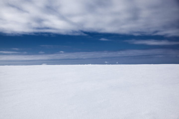 Fototapeta na wymiar winter background of fresh snow and blue sky