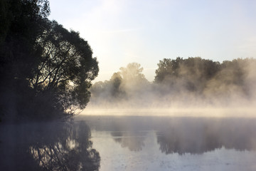 The first rays are entangled in the fog