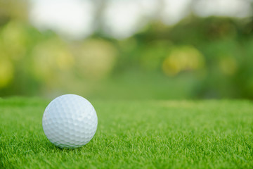 Golf ball on green grass ready to play at golf course. with copy space