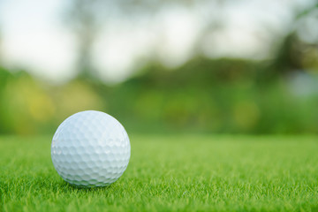 Golf ball on green grass ready to play at golf course. with copy space