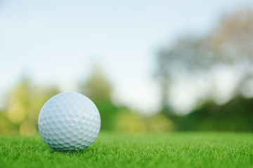 Golf ball on green grass ready to play at golf course. with copy space
