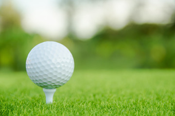 Golf ball with white tee on green grass ready to play at golf course. with copy space