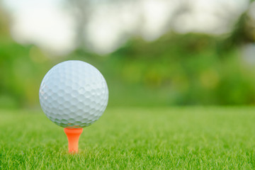 Golf ball with orange tee on green grass ready to play at golf course. with copy space