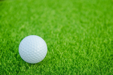 Golf ball on green grass ready to play at golf course. with copy space